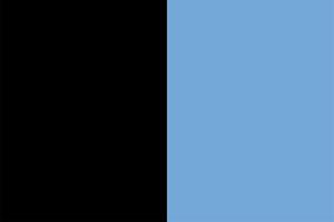 Set of Fictional Flags Fictional Country Flags World Fantasy Flags for fiction Unrealistic Flags vector