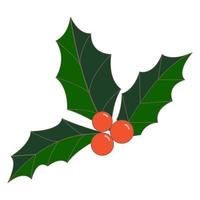 Holly berries and leaves vector illustration, christmas, new year, winter