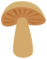 kleurrijk natuur ontwerp element. PNG met transparant achtergrond.