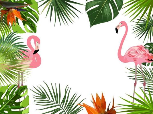 Vector tropical jungle frame with flamingo, palm trees, flowers and leaves on white background