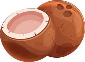 Cartoon juicy coconut, two coconuts whole and half on transparent background vector