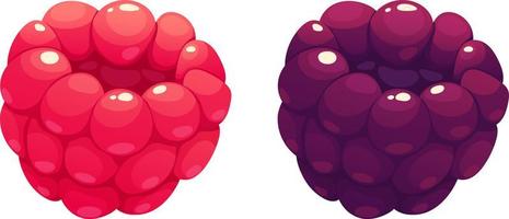 Cartoon juicy raspberries and blackberries on transparent background vector