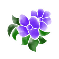 numérique aquarelle fleur et feuilles conception. haute qualité png format Taille 5000 X 5000 px. pouvez être utilisé cette graphique pour tout gentil de projet comme emballage, papeterie, tasses, t-shirts peu importe vous vouloir.