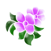 numérique aquarelle fleur et feuilles conception. haute qualité png format Taille 5000 X 5000 px. pouvez être utilisé cette graphique pour tout gentil de projet comme emballage, papeterie, tasses, t-shirts peu importe vous vouloir.