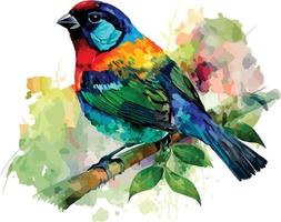 PrintWatercolor colorful Red necked Tanager with white background vector