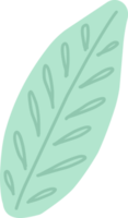 ein einfach Blatt gezeichnet aus. Pflanze Blatt isoliert png