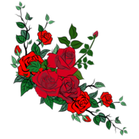 rose bouquet flowers png