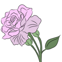 bouquet de roses fleurs png