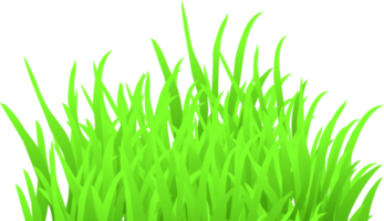 grama verde png