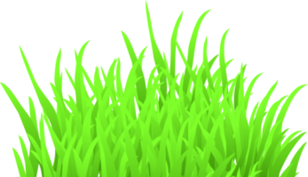 herbe verte png