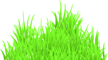 groen gras png