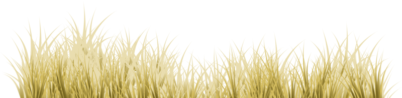 braun Gras. trocken Gras png