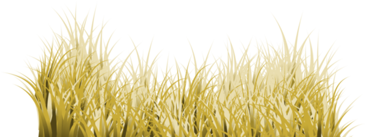 braun Gras. trocken Gras png