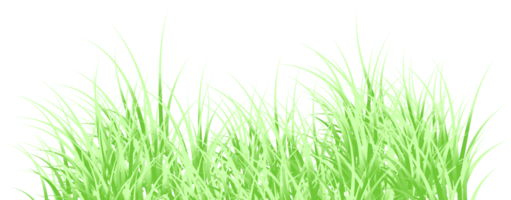 grünes Gras png