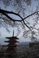 Cereza florecer festival en Japón, Monte Fuji foto