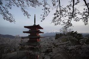 Cherry blossom festival in Japan, Mt.Fuji photo