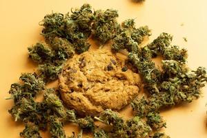 Edible cookies with THC content. Cookie surrounded by marijuana buds top view photo