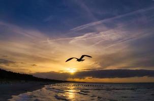 ver terminado el playa a el báltico mar a puesta de sol con gaviotas en el cielo. foto