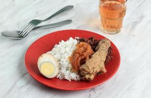 Nasi Gudeg on Red Plate photo