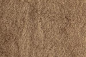 Background picture of a soft fur beige carpet. Wool sheep fleece closeup texture background. Top view. photo