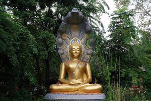 Ancient Golden Buddha Image Protected by the Hood of the Mythical Serpent or Naga in the Garden at Wat Doi Prachan Mae Tha, Mae Tha District, Lampang where is a Landmark of Thailand. photo