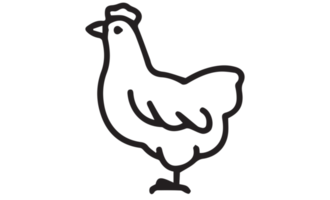 poule - poulet icône png sur transparent Contexte