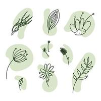 Silhouette of herbs and flowers. A set of flowers vector