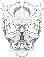 Art fancy surreal skull. Hand drawing and make graphic vector. vector