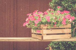 Pink petunia in pot on wood table with vintage effect. photo