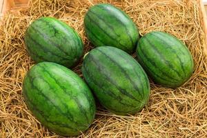 watermelon on shelf in market. photo