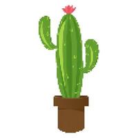 pixel art cactus for computer game, vector graphic