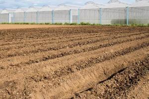 suelo preparación para siembra vegetal en campo agricultura. foto