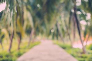 Abstract blur coconut palm tree in garden with vintage tone photo