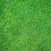 Seamless green grass background photo