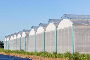 view for greenhouse with blue sky and field agriculture photo