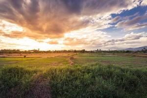 campo prado y hermosa puesta de sol foto