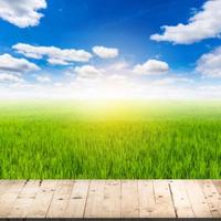 abstract blurred rice field and wood table with clouds blue sky photo