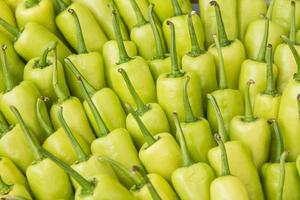 close up green pepper group. photo