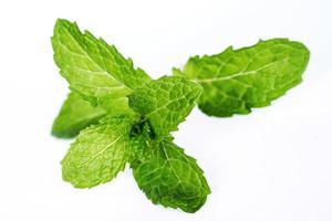 pepper mint on isolated white background photo