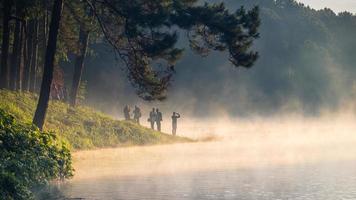 This morning at Pang Ung Forestry Plantations in winter ,Maehongson, North of Thailand photo