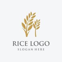 rice organic farm natural plant Logo template for business , company , agriculture,product. vector