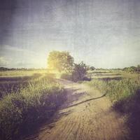 Vintage photo of road in countryside and field with sunlight.