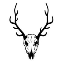 Skull of deer. Hunting trophy with horns. Antler of stag or reindeer. Scary black and white drawing for Halloween. Cartoon illustration isolated on white vector