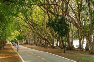 pathway and beautiful trees track for running or walking and cycling relax in the park photo