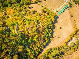 aerial autumn forest photo