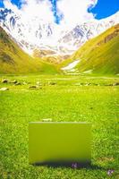 eco friendly material concept. Laptop on grass photo