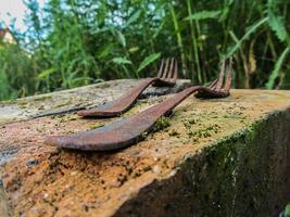 oxidado tenedores en el Roca cerca arriba. resumen todavía vida foto