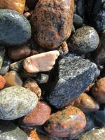 Colorful pebbles on a lake shore photo