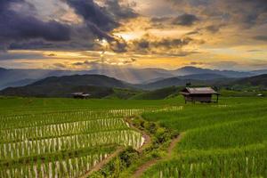 campo de arroz verde en terrazas en pa pong pieng, mae chaem, chiang mai, tailandia foto