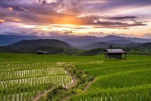 campo de arroz verde en terrazas en pa pong pieng, mae chaem, chiang mai, tailandia foto